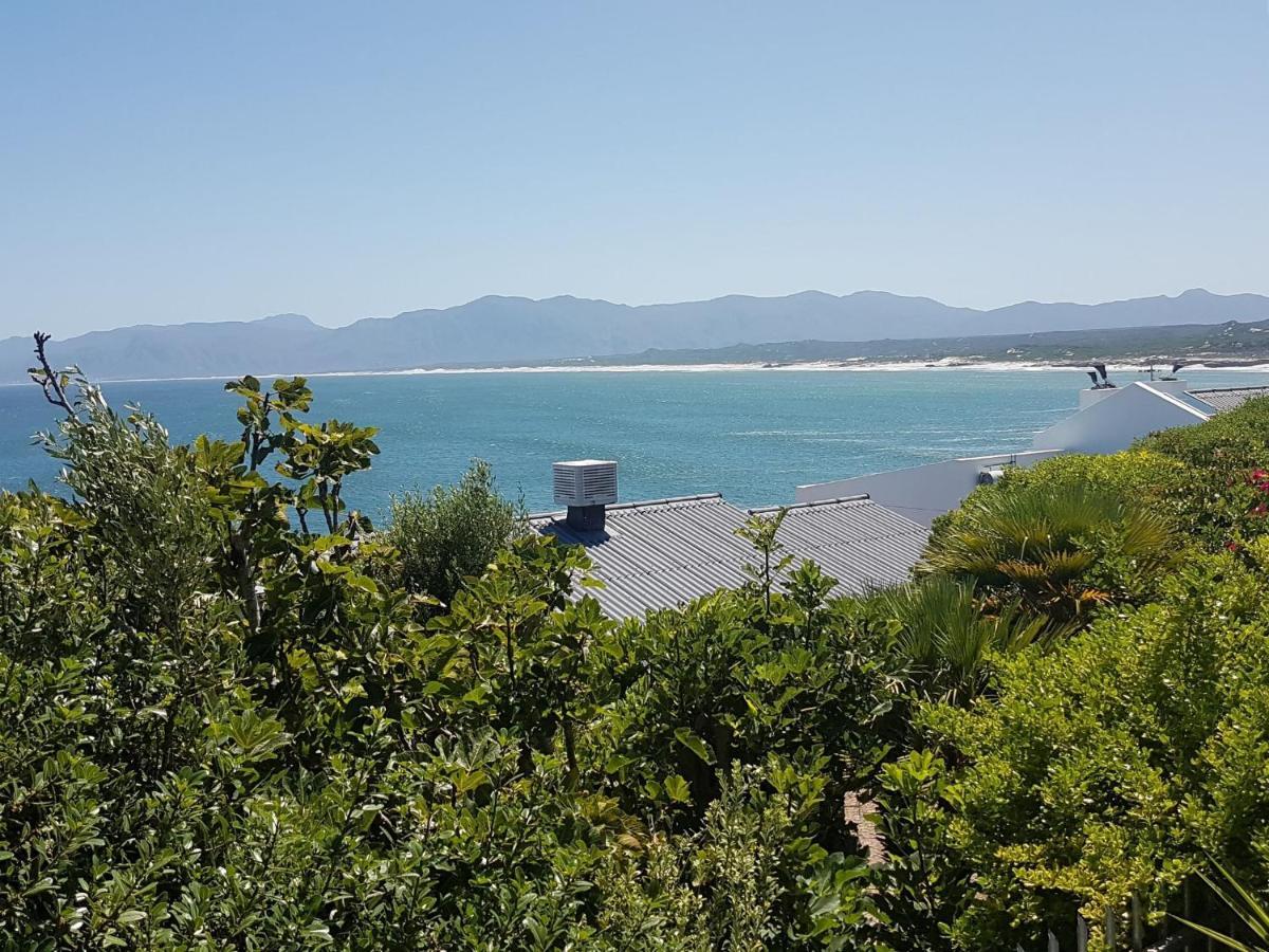 Amazing Grace B&B Gansbaai Exteriér fotografie